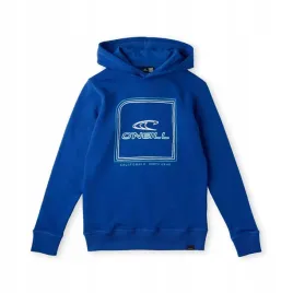 dziecieca-bluza-o-neill-all-year-hoodie