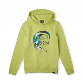 dziecieca-bluza-o-neill-circle-surfer-multi-hoodie