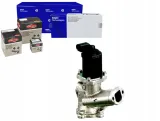 delphi-eg10257-12b1-zawor-agr-stan-nowy