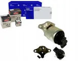 delphi-eg10256-12b1-zawor-agr-stan-nowy