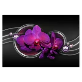 plakaty-185x125-fioletowa-orchidea