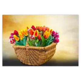 plakaty-155x105-tulipany-kwiaty-kwiatki
