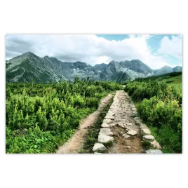 plakaty-155x105-kamienista-droga-tatry