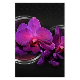 plakaty-62x93-fioletowy-oleander