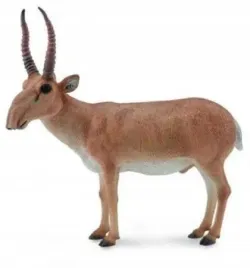 suhak-stepowy-collecta