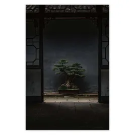 plakaty-62x93-bonsai-drzewko-kultura
