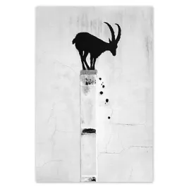 plakaty-62x93-kozica-banksy-gazela-gorska-brak-prywatnosci-mural