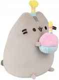 pusheen-z-tortem-bohater-pusheen