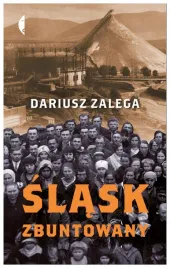 slask-zbuntowany-dariusz-zalega