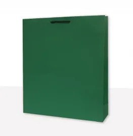 torebki-prezentowe-jednobarwna-t9-zielona-10-sztuk