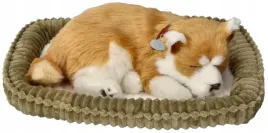 szczeniaczek-oddychajacy-do-adopcji-shiba