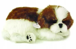 e5179-perfect-petzzz-shih-tzu-spiacy-piesek