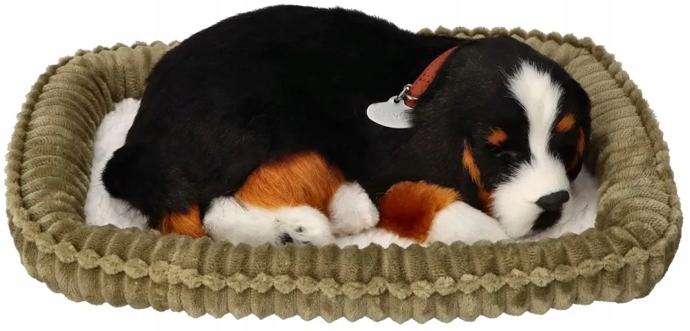 perfect-petzzz-oddychajacy-bernenczyk-do