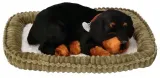 piesek-oddychajacy-rottweiler
