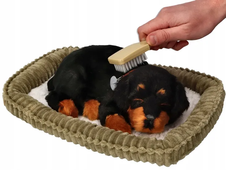 piesek-oddychajacy-rottweiler-plec-chlopcy