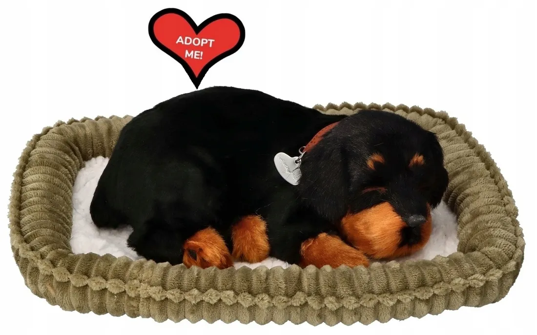 piesek-oddychajacy-rottweiler-bohater-brak