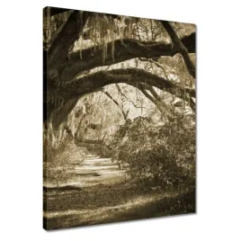 obrazy-40x50-deby-w-parku-sepia