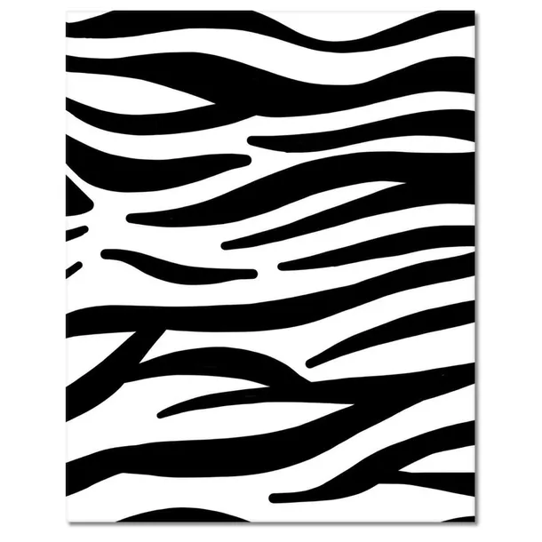 obrazy-40x50-zebra-paski-stan-nowy