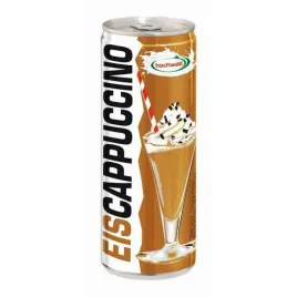 hochwald-kawa-mrozona-cappucino-250ml-puszka