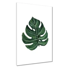 obrazy-60x90-monstera-zielony-lisc