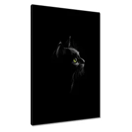 obrazy-60x90-czarny-kotek-kicius-kot