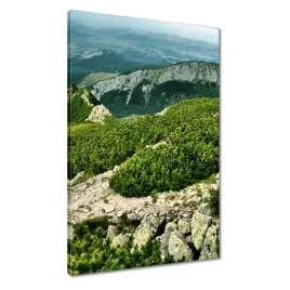 obrazy-60x90-tatry-polskie-gory-widok
