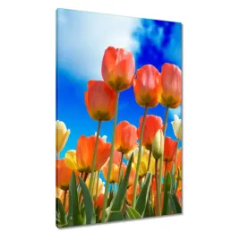 obrazy-60x90-kolorowe-tulipany-kwiaty