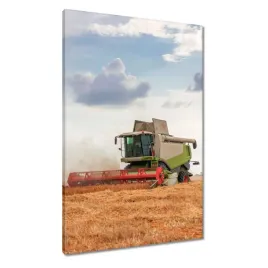 obrazy-60x90-kombajn-na-polu-zbozowym