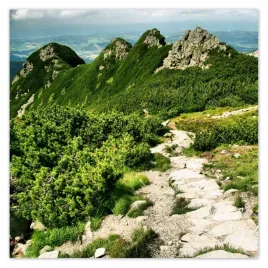 plakaty-70x70-tatry-polskie-gory-widok