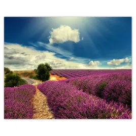 plakaty-50x40-lawendowy-pejzaz