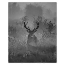 plakaty-40x50-jelen-we-mgle