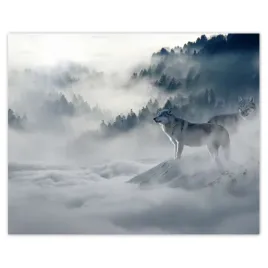 plakaty-50x40-wilki-w-naturze