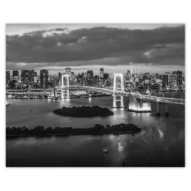 plakaty-50x40-tokio-wieza-eiffla-most
