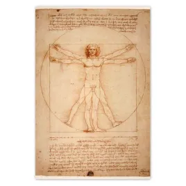 plakaty-40x60-czlowiek-witruwianski-da-vinci