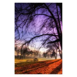 plakaty-80x120-park-w-wasowie