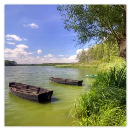 plakaty-70x70-spacer-wolsztynski-park