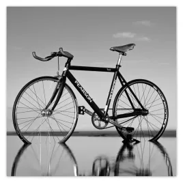 plakaty-50x50-rowery-rowerki-dwa-kolka