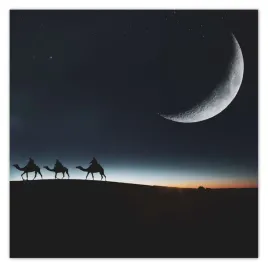 plakaty-50x50-karawana-zasuwa-noca