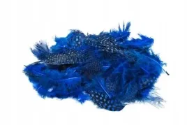 piorka-nakrapiane-niebieskie-3g