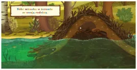 bobr-rok-w-lesie-e-dziubak-k-pietka