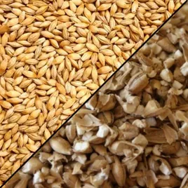 srutowanie-slodu-slod-piwo-domowe-1kg