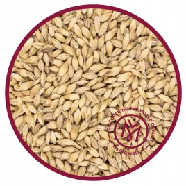 slod-pale-ale-5kg-viking-malt-piwo-domowe