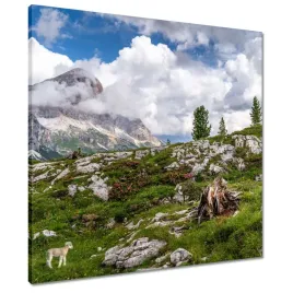 obrazy-60x60-owieczka-w-gorach-widok
