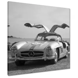 obrazy-60x60-mercedes-gullwing