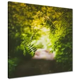obrazy-60x60-zielone-listki-liscie