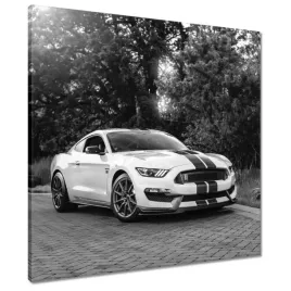 obrazy-60x60-sportowy-ford-mustang