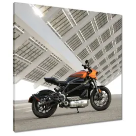 obrazy-60x60-harley-davidson-motocykl