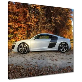 obrazy-60x60-jesienne-audi-samochod