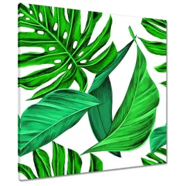 obrazy-60x60-soczysta-monstera-tropiki
