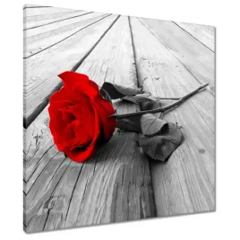 obrazy-60x60-czerwona-roza-na-drewnie